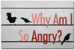 Why Am I So Angry?